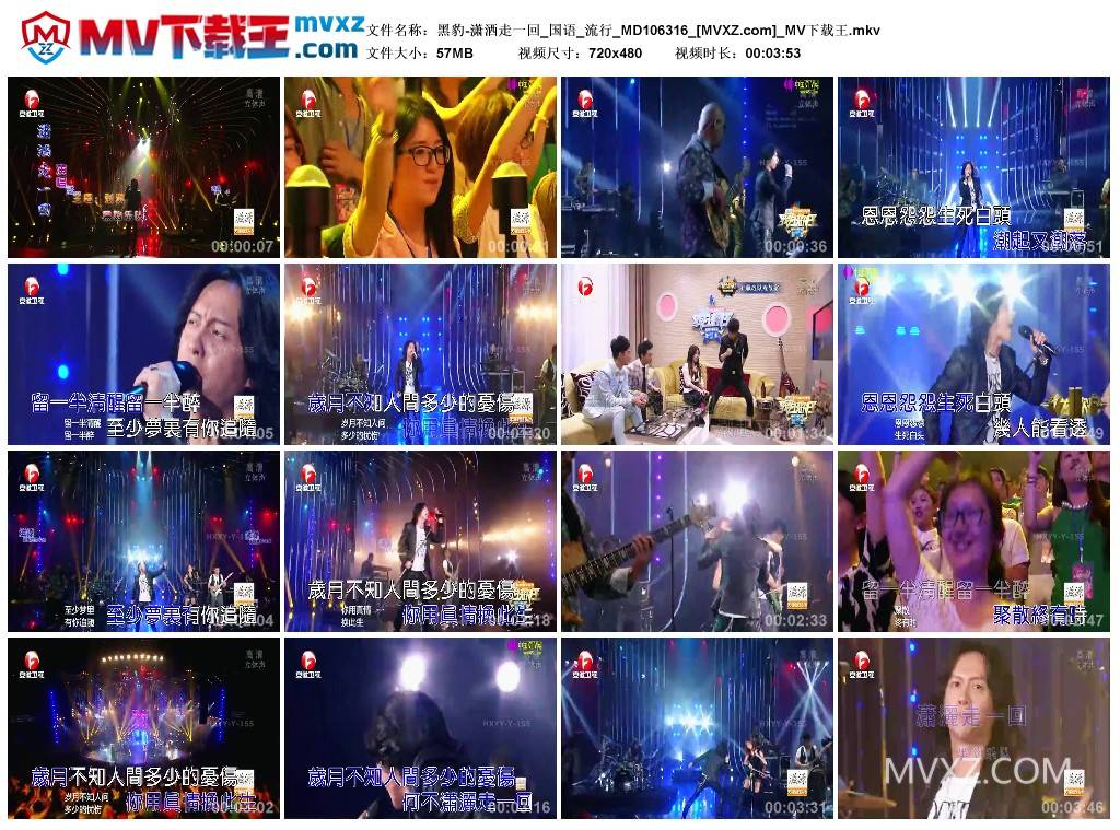 黑豹-潇洒走一回_国语_流行_MD106316